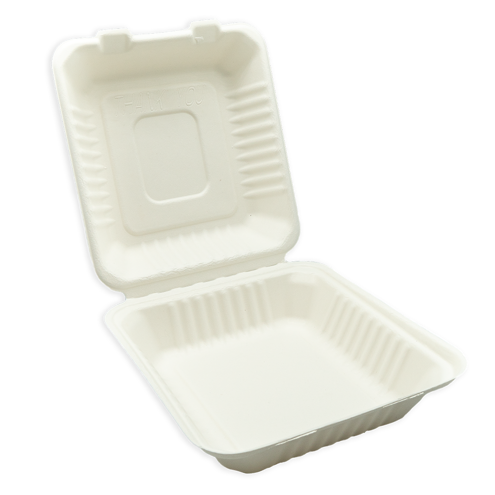 Hinged Single Container