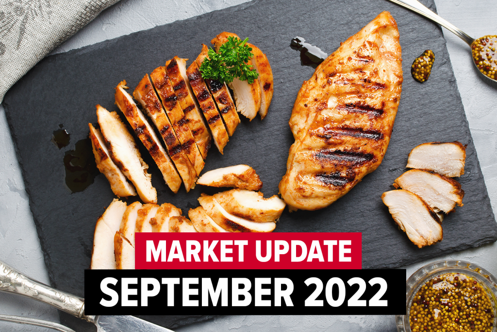 September 2022 Y. Hata Market Update