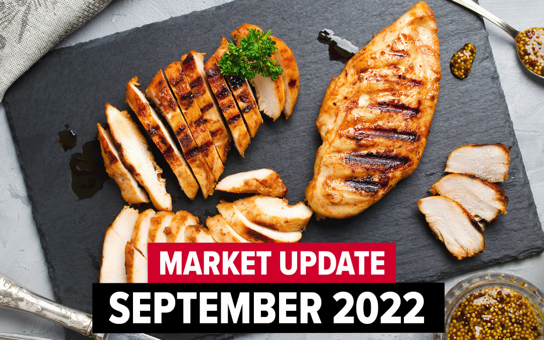 September 2022 Y. Hata Market Update