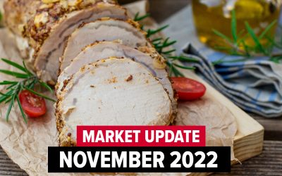 November 2022 Market Update