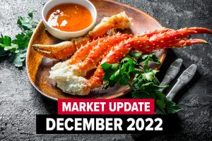 December 2022 Market Update
