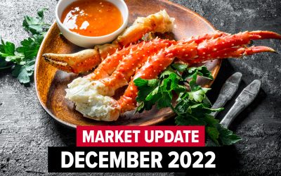 December 2022 Market Update