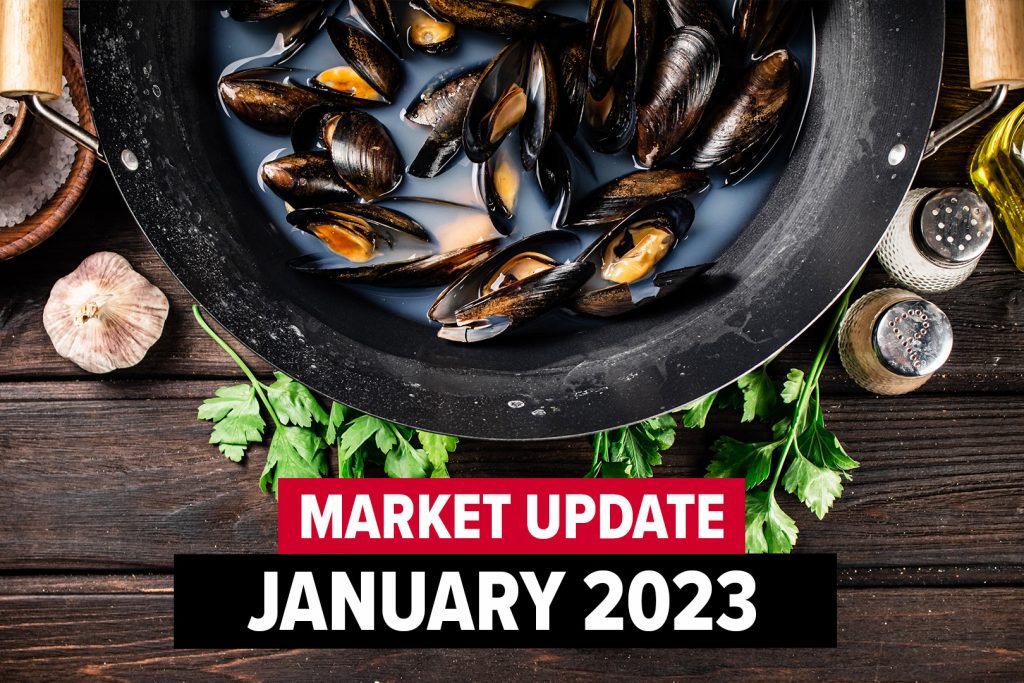 January 2023 Market Update