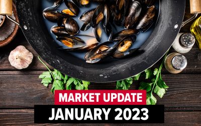 January 2023 Market Update