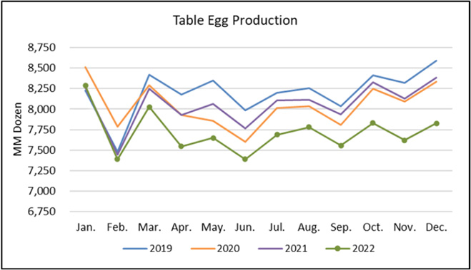 Egg Market Update