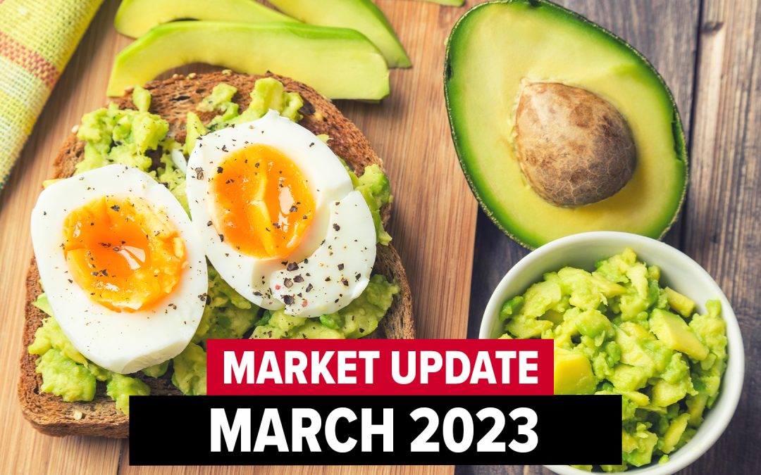 March 2023 Market Update