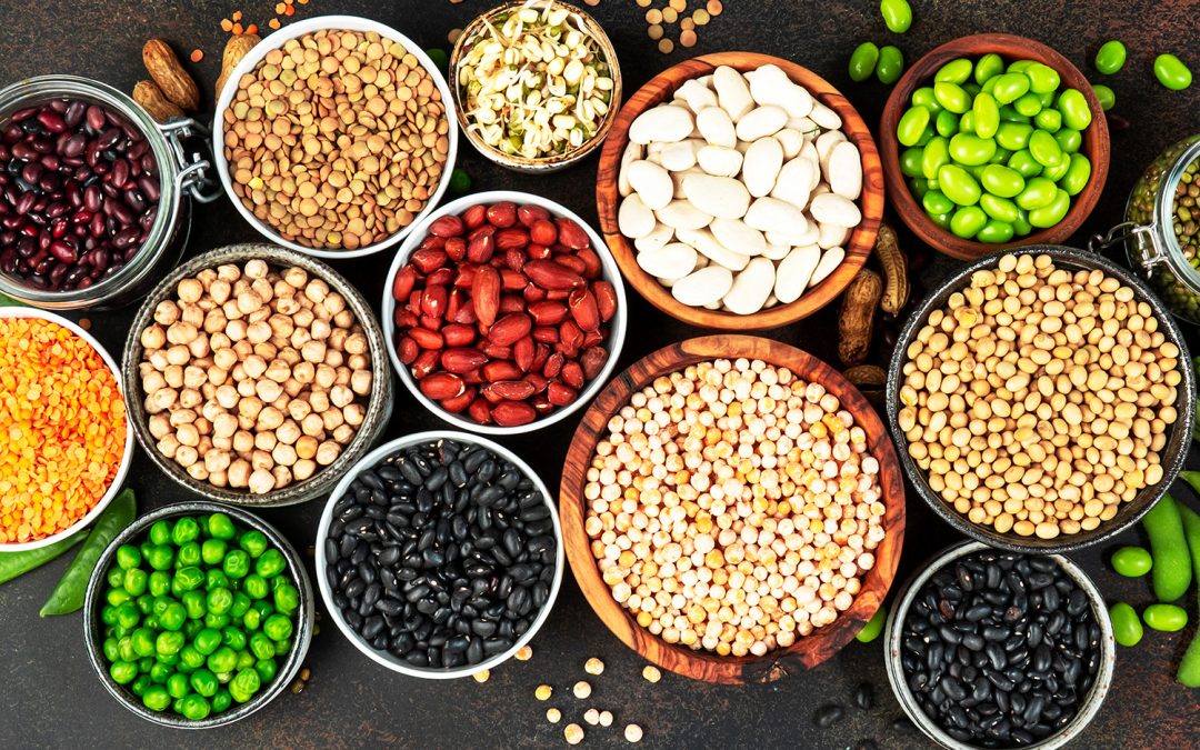 Bountiful Harvest Dried Beans