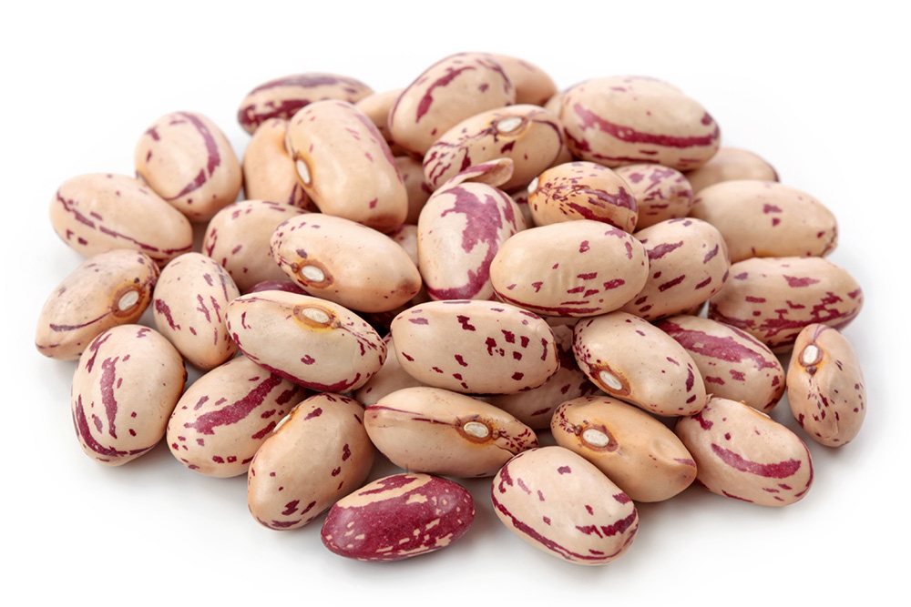 Pinto Beans