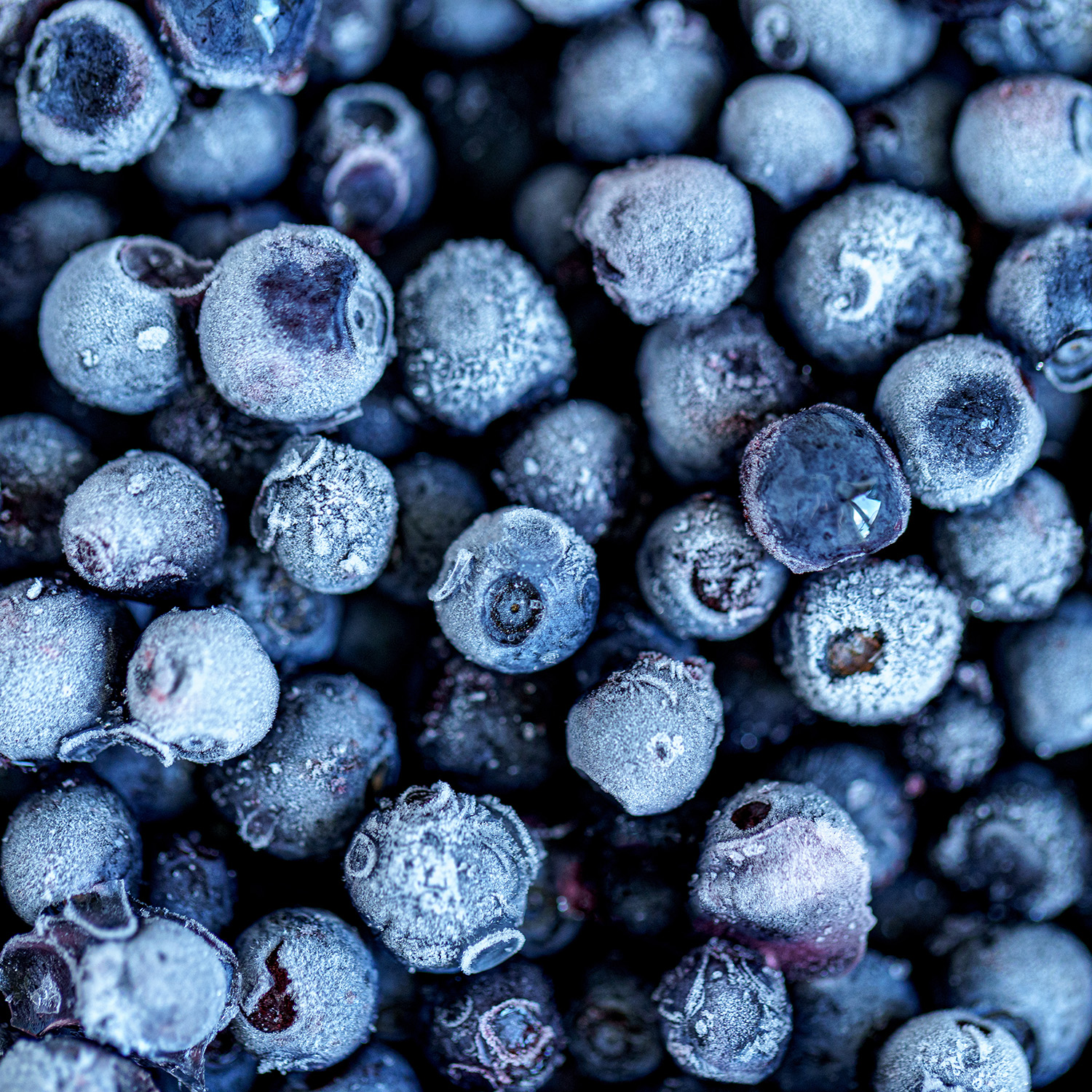 Frozen Blueberries