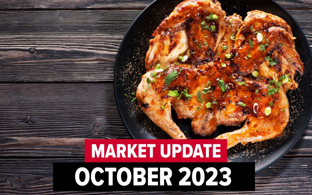 October 2023 Market Update