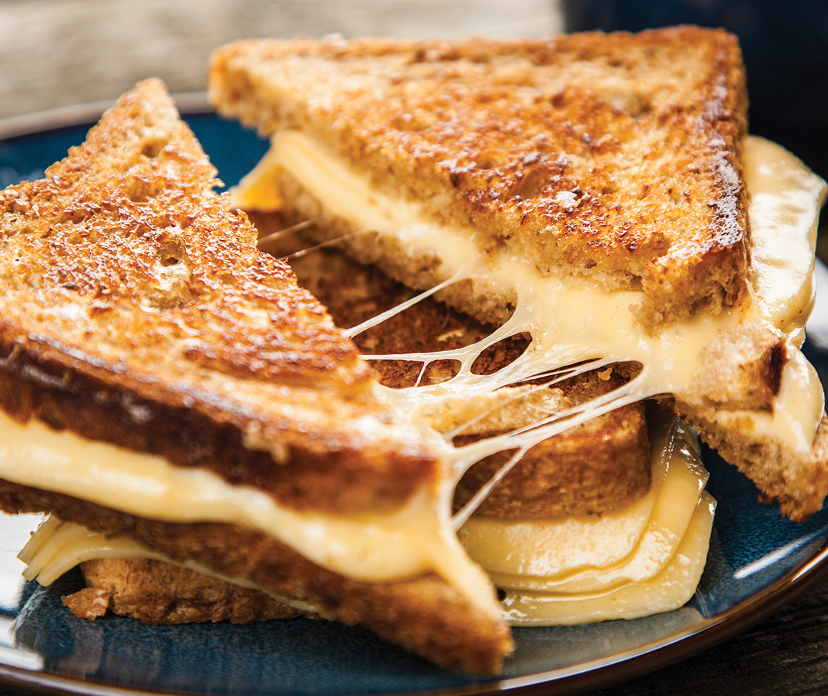 Grilled Cheese Sandwich Grilled Cheese Sandwich