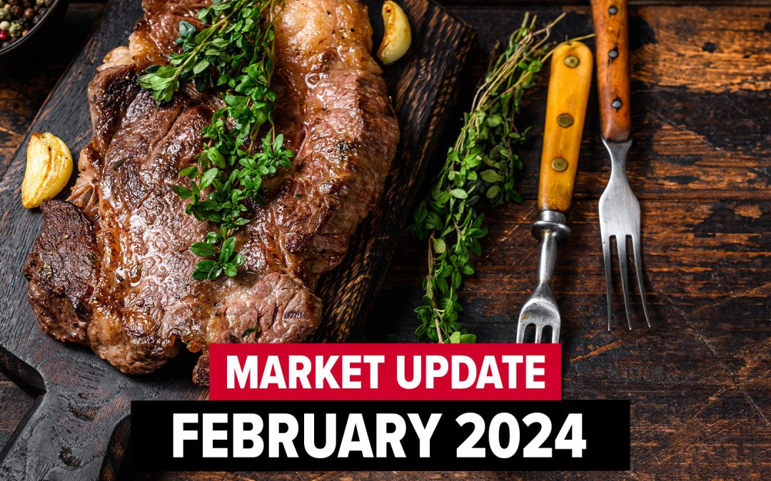 February 2024 Market Update