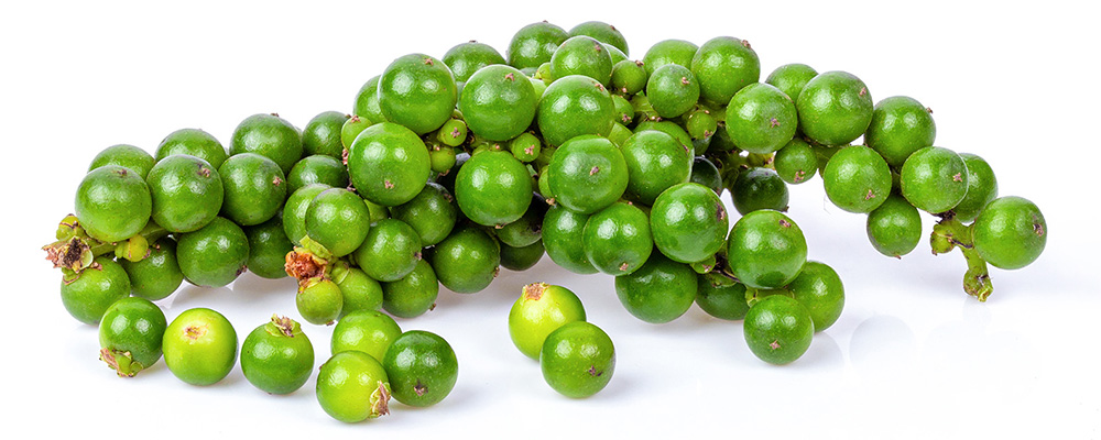 Unripe Green Peppercorns