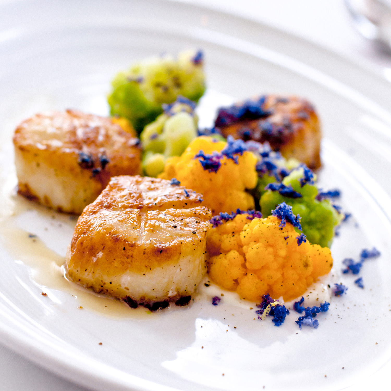 Pierport Scallops