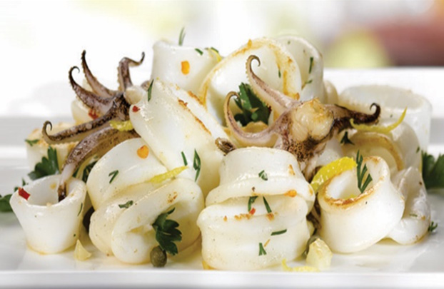 Pierport Calamari Rings & Tentacles